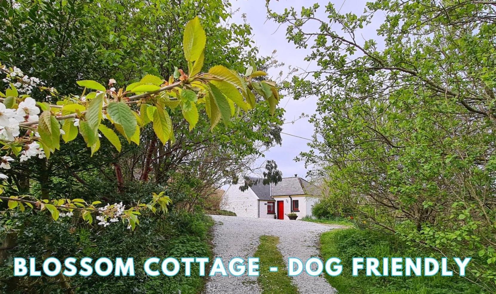 Araucaria Croft Skye Villa Dunvegan  Kültér fotó